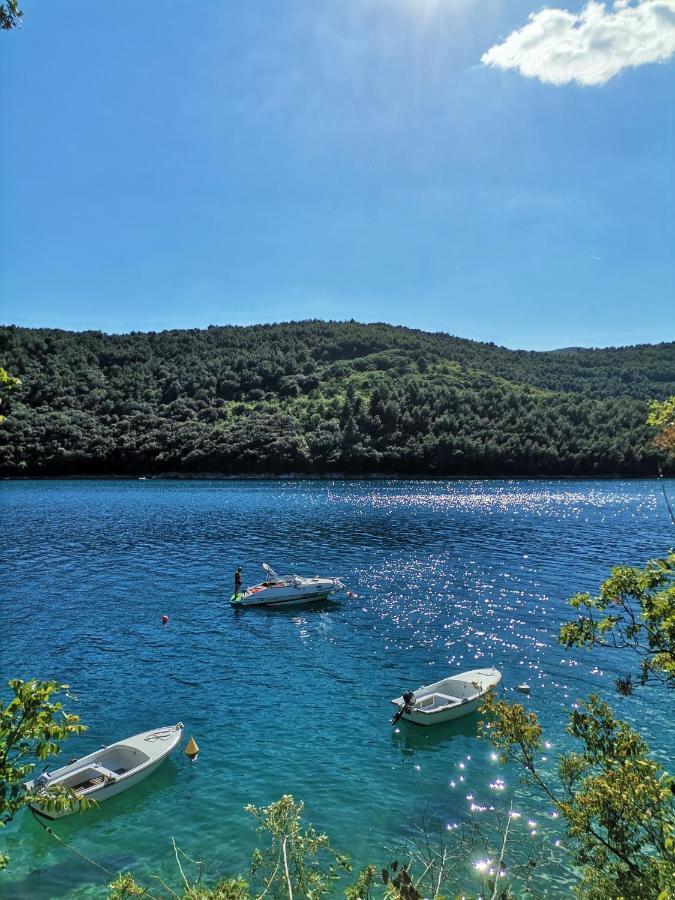 Lovely Apartment Branko Rabac With Balcony And Parking Luaran gambar